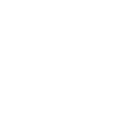 003 Human Rights
